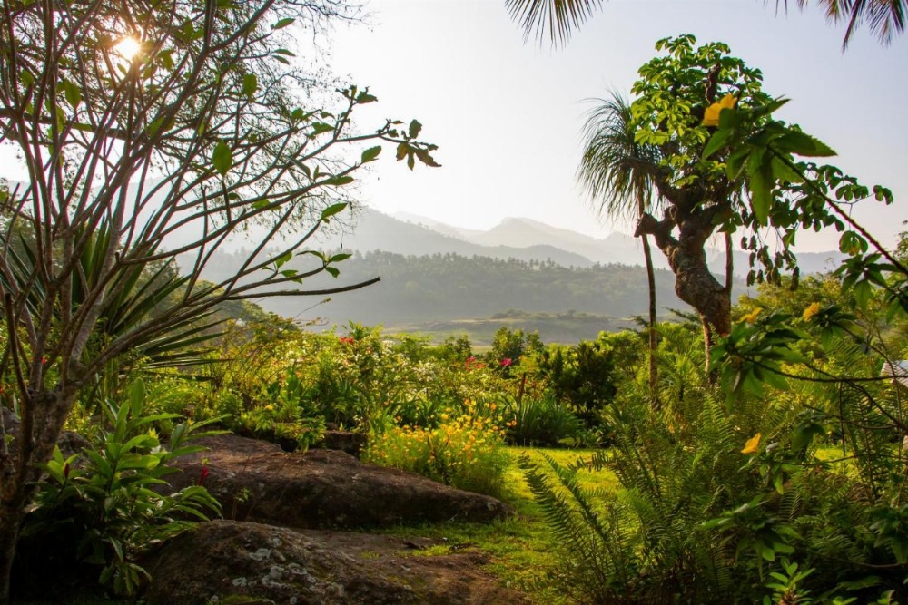 Bougainvillea Retreat Image 26